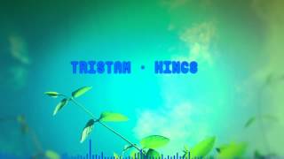 Tristam - Kings (DUPSTEP)
