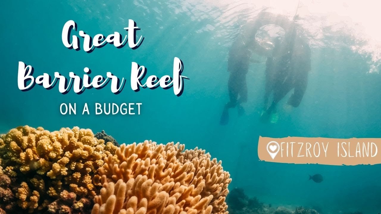 Join a traveler on an adventurous trip to Fitzroy Island.