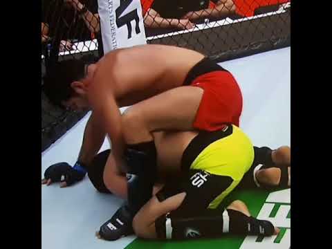 Mark Fairman (IRE) v Lupo (Rom) MMA