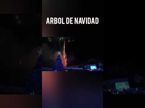 Arbol De navidad En Petén Guatemala #arbol #Navidad #lascrucespeten #peten #lascruces #demisamores