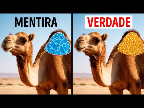 Mais de 50 fatos sobre animais que ninguém nos contou nas aulas de biologia