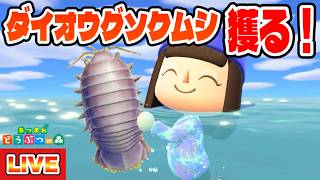 【あつ森】海の幸図鑑コンプへの道！～ダイオウグソクムシを獲りたい！！！～