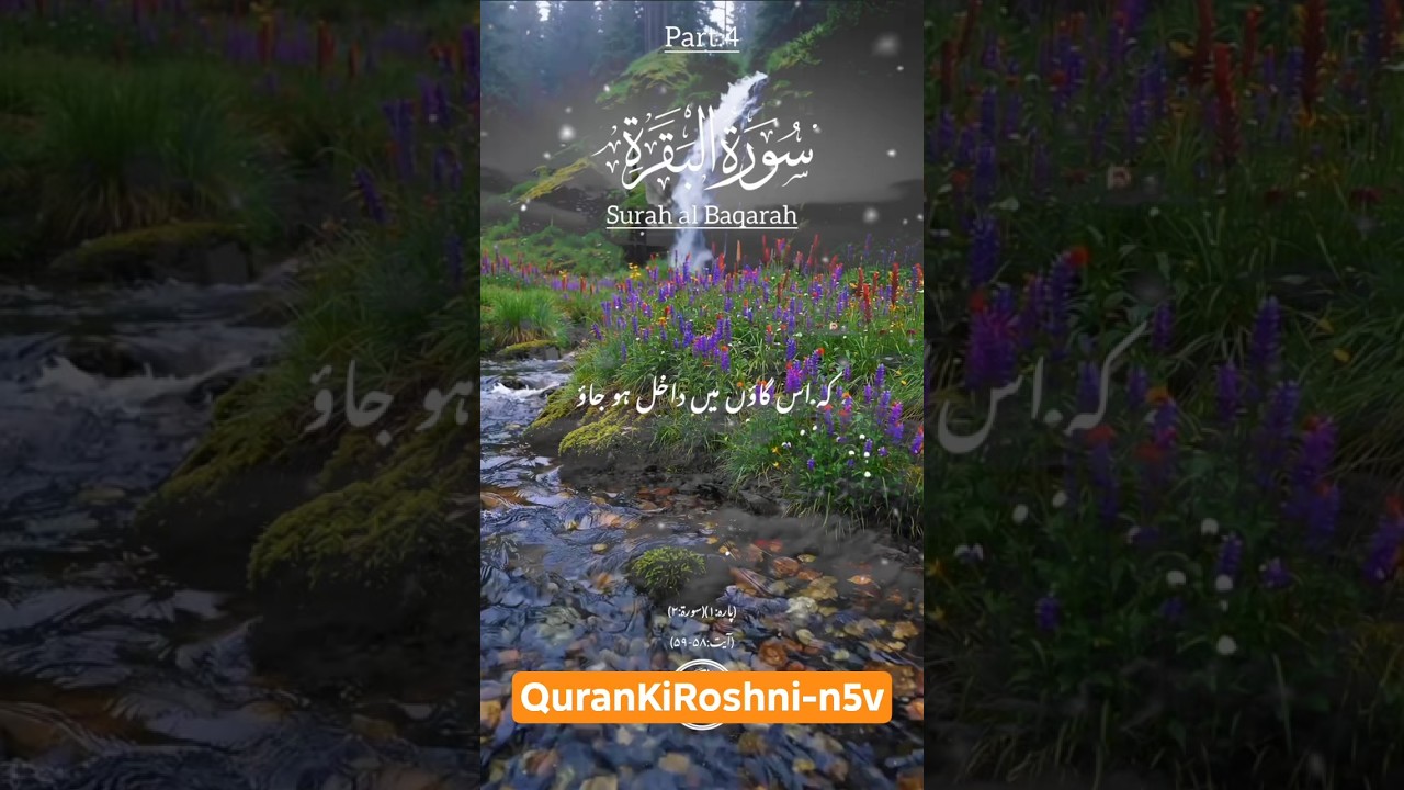 Surah Al-Baqarah with Urdu Translation | Full Quran Recitation | #surahbaqara #shorts