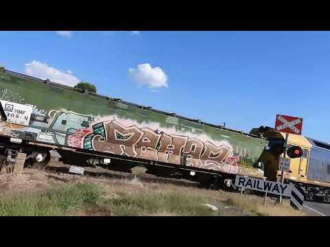 Pacific National grain at Yarrawonga