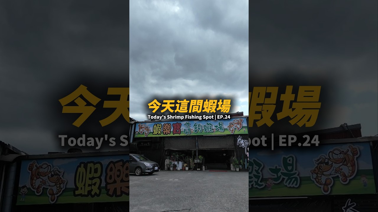 今天這間蝦場EP.24【MLS蝦戰天下】#17shrimp #台湾のエビ釣り #shrimpfishing #새우낚시