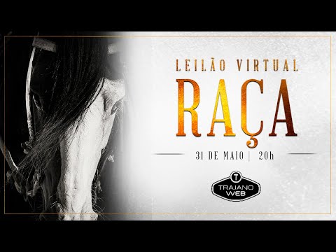 LOTE 01 - JÓIA RARA DA CABANHA SANTA FÉ