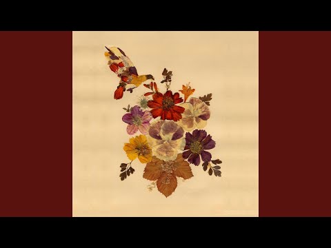 Oh Catherine - Lone Pigeon