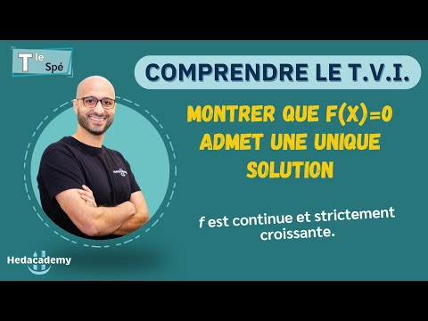 UNDERSTANDING T.V.I. - Terminale