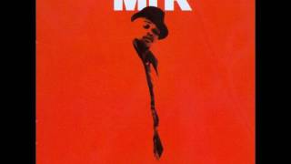 Monsieur R - Un simple regard sur le monde