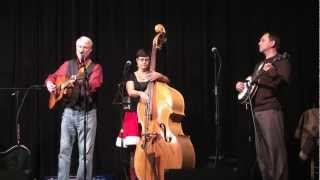 Carolina Lightin' - A Christmas Letter