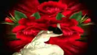 grupo bryndis eres mi vida entera