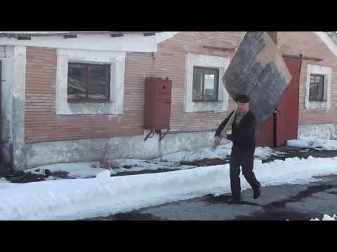 1/3 Matematica si Apicultura - Povesti despre albinute pentru cei mici si nu numai + Lectie de mate