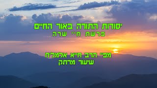 הרב חייא אלמליח פרשת השבוע חיי שרה שיעור מרתק על האור החיים | שידור חי #foryou #פרשתהשבוע #shorts (הרב מיכאל לסרי) - התמונה מוצגת ישירות מתוך אתר האינטרנט יוטיוב. זכויות היוצרים בתמונה שייכות ליוצרה. קישור קרדיט למקור התוכן נמצא בתוך דף הסרטון הרב חייא אלמליח פרשת השבוע חיי שרה שיעור מרתק על האור החיים | שידור חי #foryou #פרשתהשבוע #shorts (הרב מיכאל לסרי) - התמונה מוצגת ישירות מתוך אתר האינטרנט יוטיוב. זכויות היוצרים בתמונה שייכות ליוצרה. קישור קרדיט למקור התוכן נמצא בתוך דף הסרטון