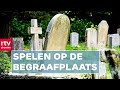 Bijzondere geschiedenisles, mega spandoek voor FC Emmen & uitspraak campingmoord | Drenthe Nu