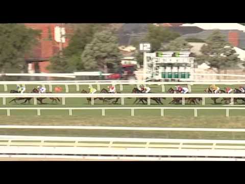 2017.05.06 Schweppes Oaks (Registered as Australasian Oaks) - Egg Tart