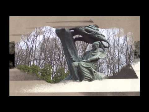 Piano - Aleks. Michałowski. Fryd.Chopin. Nocturn,Mazurek.Preludium  VTS 01 1