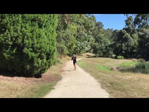 10x200m W/45sec Rest **GTS runs a 1:53 800m at Vic Milers Championships**