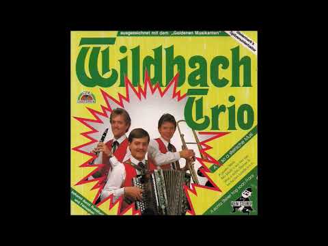 Wildbach Trio - A so a steirische Musi (1990)