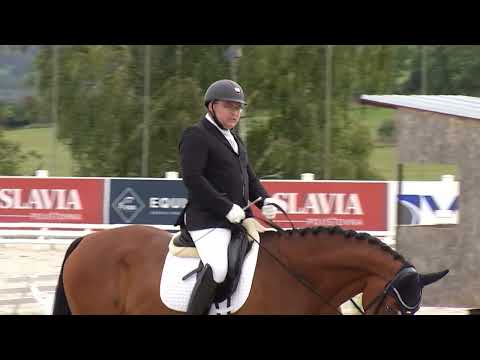 Soutěž č. 6: KMK v drezuře pro 4leté klisny, 4Ú/2022 – Zduchovice 23. 9. 2023