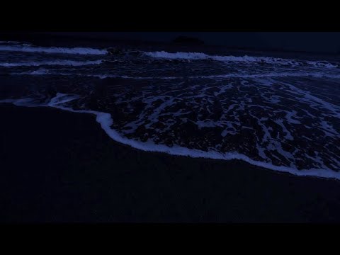 Ocean Sounds for Deep Sleep | Rolling Waves with Dark Screen for Relaxation