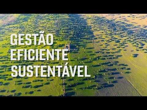 Monte do Pasto – Maior criador português de gado bovino