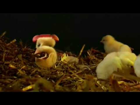 Kanal 5 - Påsk vinjett (2008)