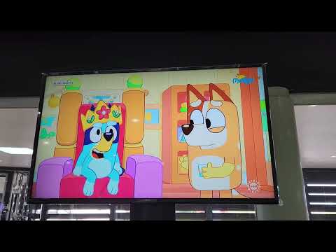 20250402 143122 -  Bluey dans la salle d'embarquement aéroport Jakarta