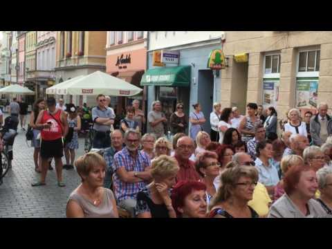 Cindy Paley - Di Grine Kuzine