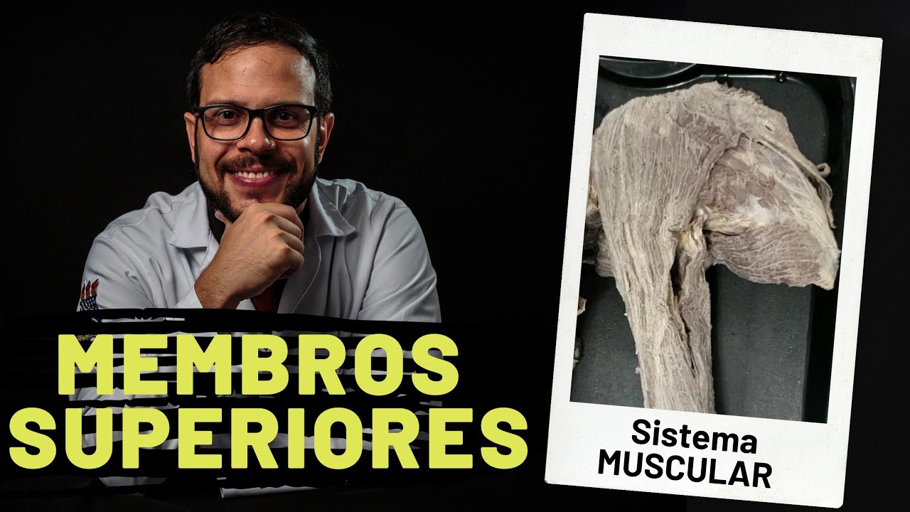 SISTEMA MUSCULAR: MEMBROS SUPERIORES - AULA PRÁTICA COM PROF. ANDRÉ OLIVEIRA
