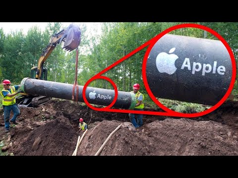 When Time Capsules Unveiled Incredible Discoveries