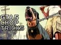 GTA 5: Teach Chop Tricks Walkthrough 