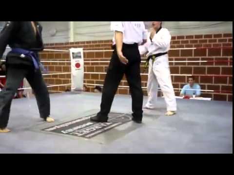 Taekwondo Vs Jiu Jitsu