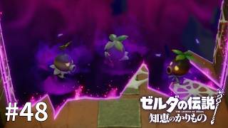 ゼルダの伝説 知恵のかりもの #48【正直こうなることを願ってた】