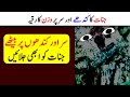 Removed All Jinnat Effects From Body Ruqyah Shariah By Sami Ulah Madni 38
