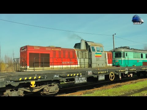 Pornire la Rece & Cald Motor LDH 92 53 0 841 013-1 Cold & Hot Engine Start Up in Valea lui Mihai