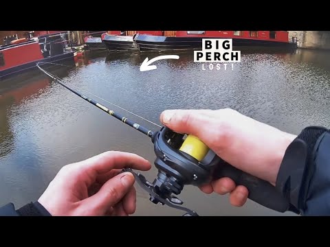 Big Perch Lost! | Perch Patrol Ep 3