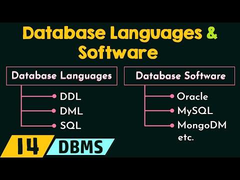 Database Languages and Software