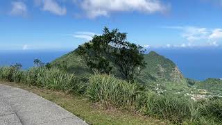 樹梅坪古道&燦光寮古道交界風光