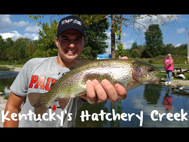 Trout Fishing Kentucky's Hatchery Creek