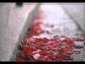 Fabrizio Bosso Feat. Sergio Cammariere - Estate ...