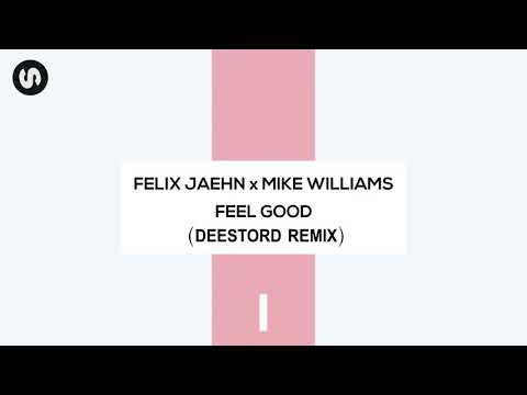 Felix Jaehn X Mike Williams - Feel Good (Deestord Remix)