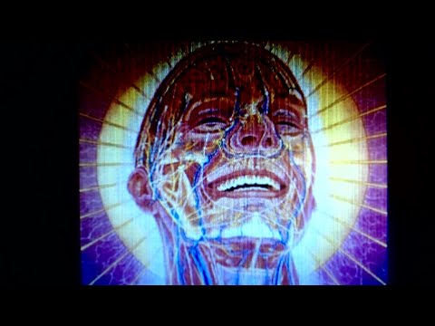 Terence Mckenna   Bufo Alvarius