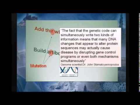 DNA is a multi-dimensional code