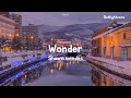 Shawn mendes - 'Wonder' Speed version | I wonder what it's like to be loved by you | Lyrics
