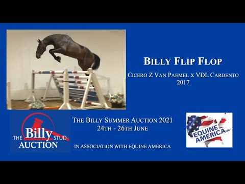 Billy Flip Flop