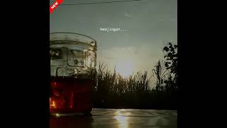 Download lagu story wa bakul sabu los ( sari tebu ) gokil mp3 Download lagu story wa bakul sabu los ( sari tebu ) gokil mp3