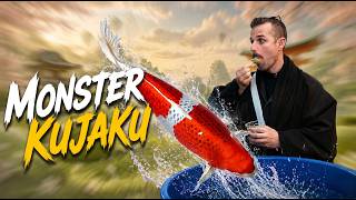 Buying Koi in Japan 🇯🇵 | Omosako Koi Farm & How to Choose Kujaku (Part 6)