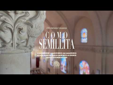 Como Semillita | JOR & Hermanas Canossianas - Canto a #virgendelosdolores (Video Lyric)
