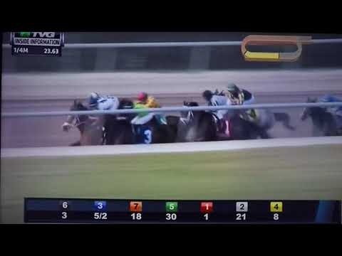 INSIDE INFORMATION (G STAKES) 3/17/18 - IVY BELL !!