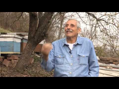 Boja meda ep. 36 13.11.2018. - jaka društva, med u ishrani trudnica, odgoj matica